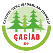 Çagiad Logo PNG Vector