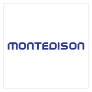 Montedison Logo PNG Vector