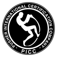 PICC Logo PNG Vector