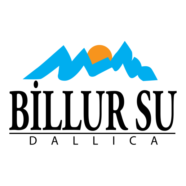 Billur Su Logo PNG Vector
