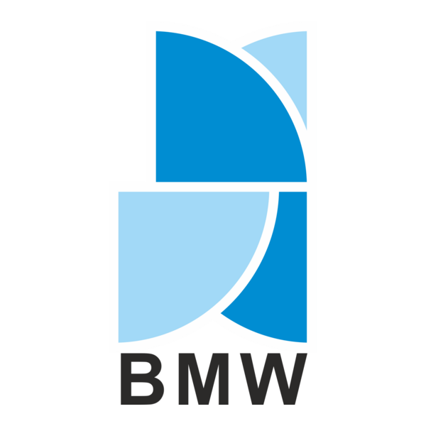BMW Logo PNG Vector