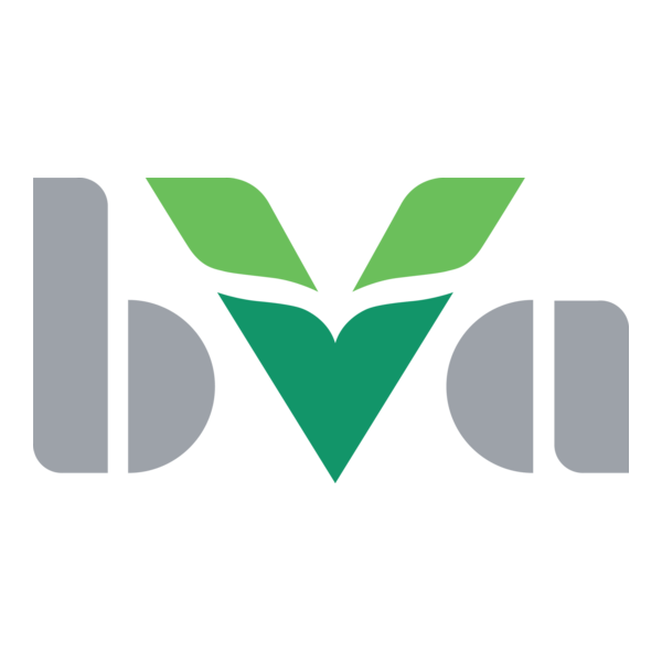 BVA Logo PNG Vector