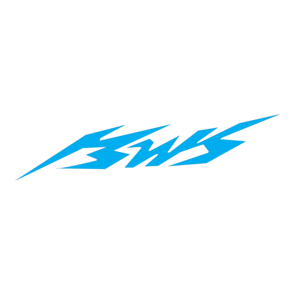 BWS Logo PNG Vector