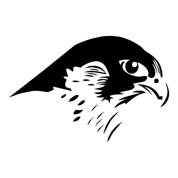 Falcon Logo PNG Vector