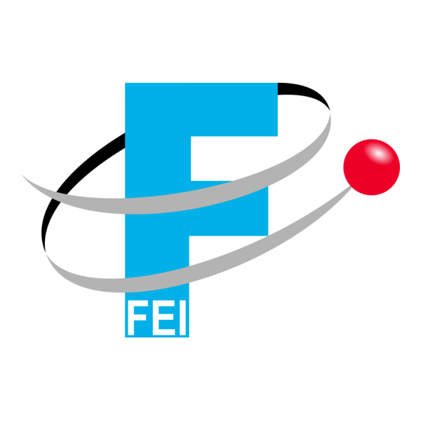 FEI Logo PNG Vector