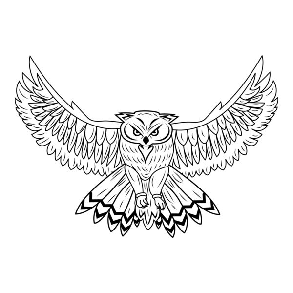 Owl Logo PNG Vector
