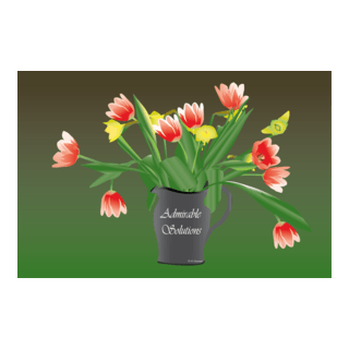 Admirable Solutions Logo PNG Vector