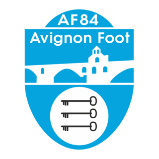 Avignon Foot 84 Logo PNG Vector