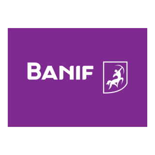 Banif Horizontal Negative Logo PNG Vector