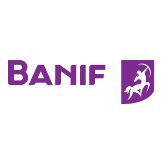 Banif Horizontal Positive Logo PNG Vector