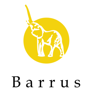 Barrus Real Estate Group Logo PNG Vector