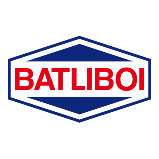 Batliboi Logo PNG Vector