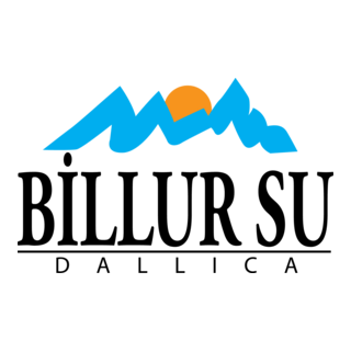 Billur Su Logo PNG Vector