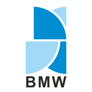 BMW Logo PNG Vector