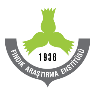FAE Logo PNG Vector