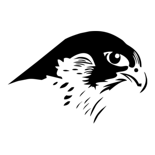 Falcon Logo PNG Vector