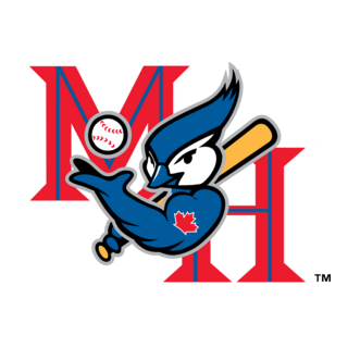 Medicine Hat Blue Jays Logo PNG Vector