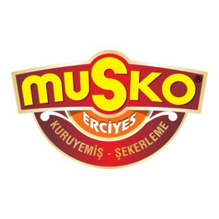Musko Erciyes Logo PNG Vector