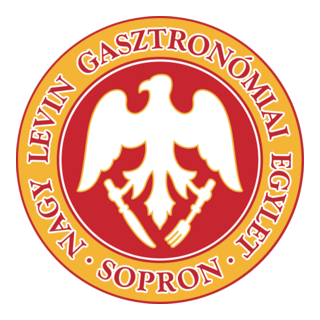 Nagy Levin Logo PNG Vector