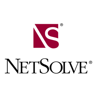 NetSolve Logo PNG Vector
