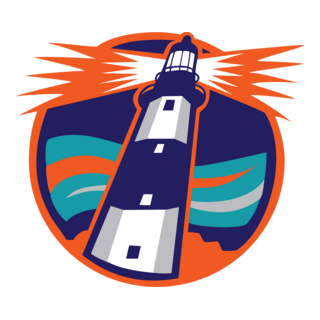 New York Islanders Logo PNG Vector