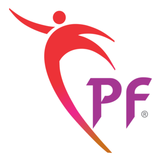 Punjab Flex Printing and Hoarding Ind. Logo PNG Vector