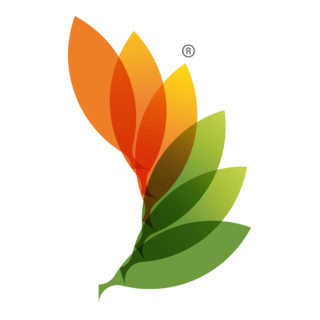 RACE_clean energy Logo PNG Vector