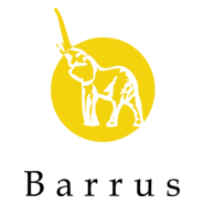 Barrus Real Estate Group Logo PNG Vector