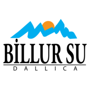 Billur Su Logo PNG Vector