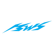 BWS Logo PNG Vector