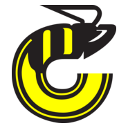 Cincinnati Stingers Logo PNG Vector