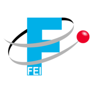 FEI Logo PNG Vector