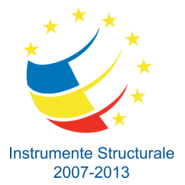 Instrumente Structurale 2007-2013 Logo PNG Vector