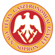 Nagy Levin Logo PNG Vector