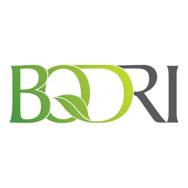 BQDRI Logo PNG Vector