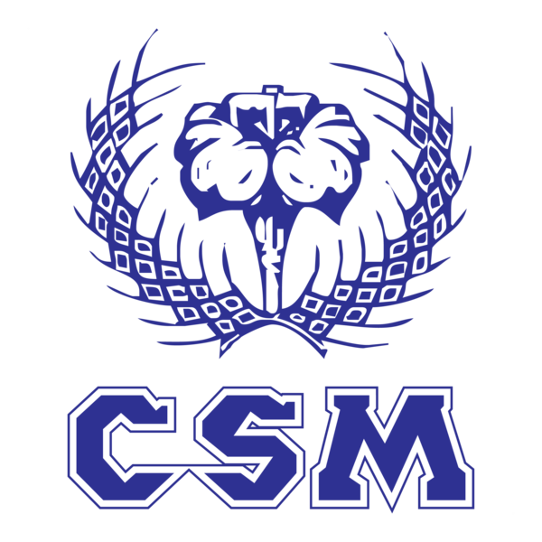 COLÉGIO SANTA MARCELINA / MURIAÉ / MINAS GERAIS Logo PNG Vector