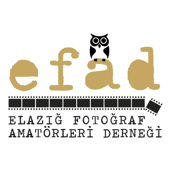 EFAD Logo PNG Vector