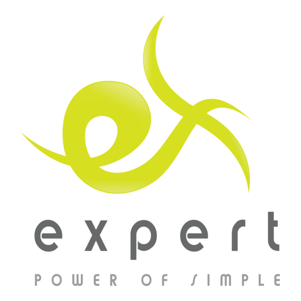 Expert Logo PNG Vector