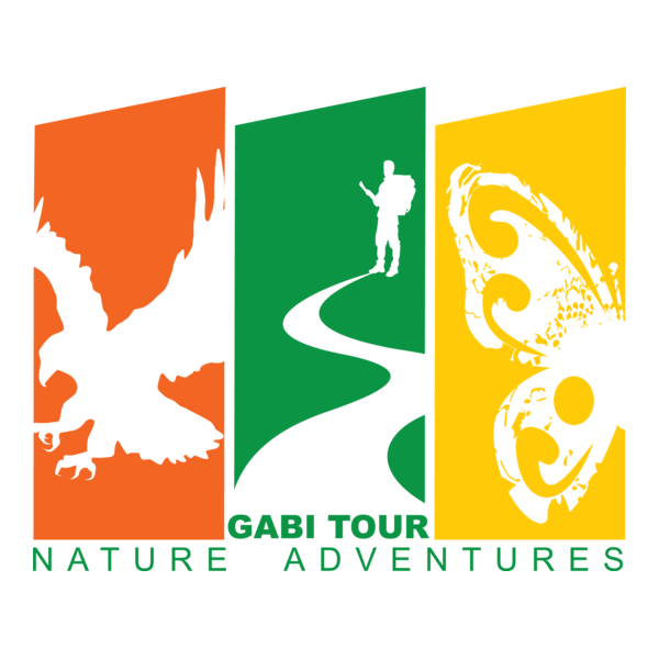 Gabi Tour Logo PNG Vector
