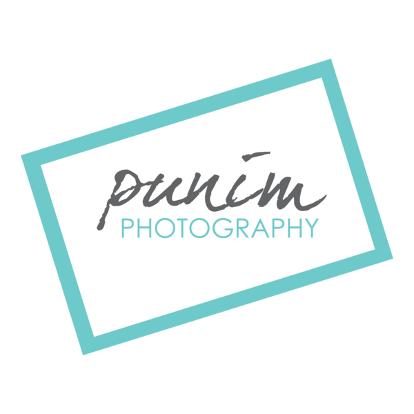 punim photography Logo PNG Vector