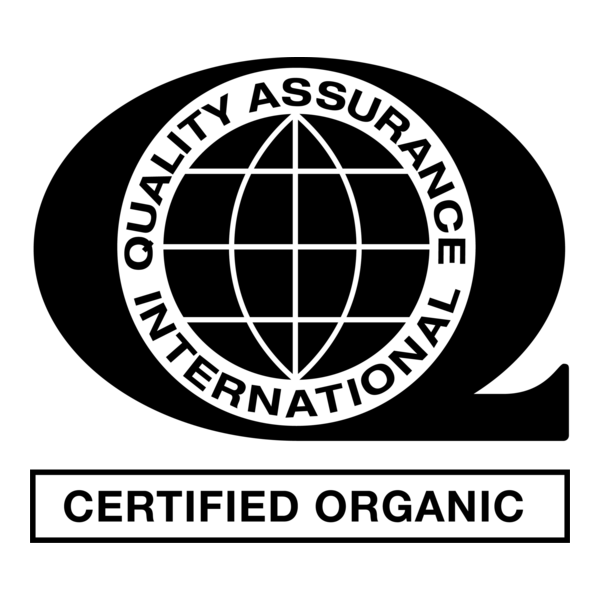 Quality Assurance International Logo PNG Vector