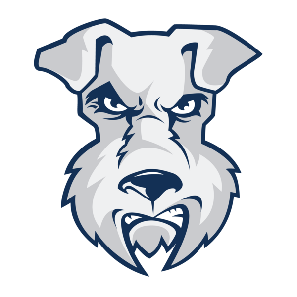 St. Francis Terriers Logo PNG Vector