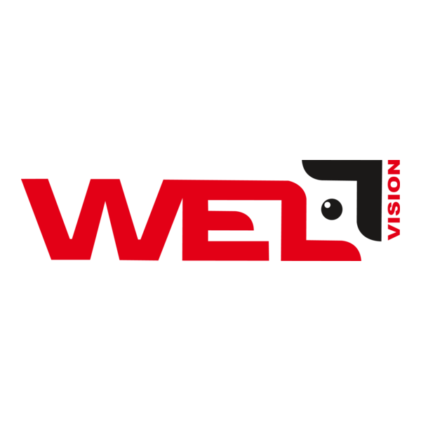 WELL VISION Logo PNG Vector