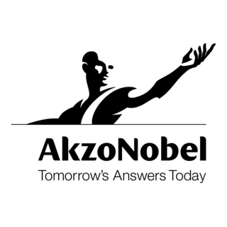 AkzoNobel Logo PNG Vector