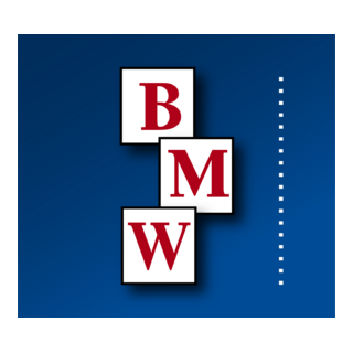 BMW Constructors Logo PNG Vector