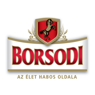 Borsodi Logo PNG Vector