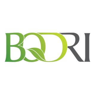 BQDRI Logo PNG Vector