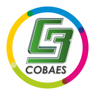 Cobaes Logo PNG Vector