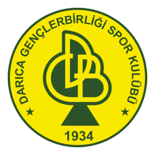 Darica Gençlerbirligi SK Logo PNG Vector