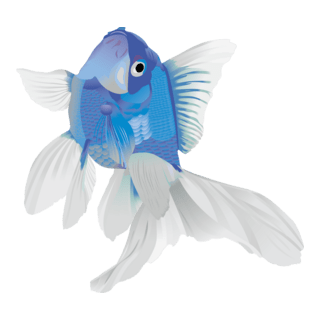 fish Logo PNG Vector